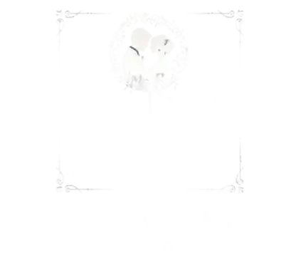 DK Studio